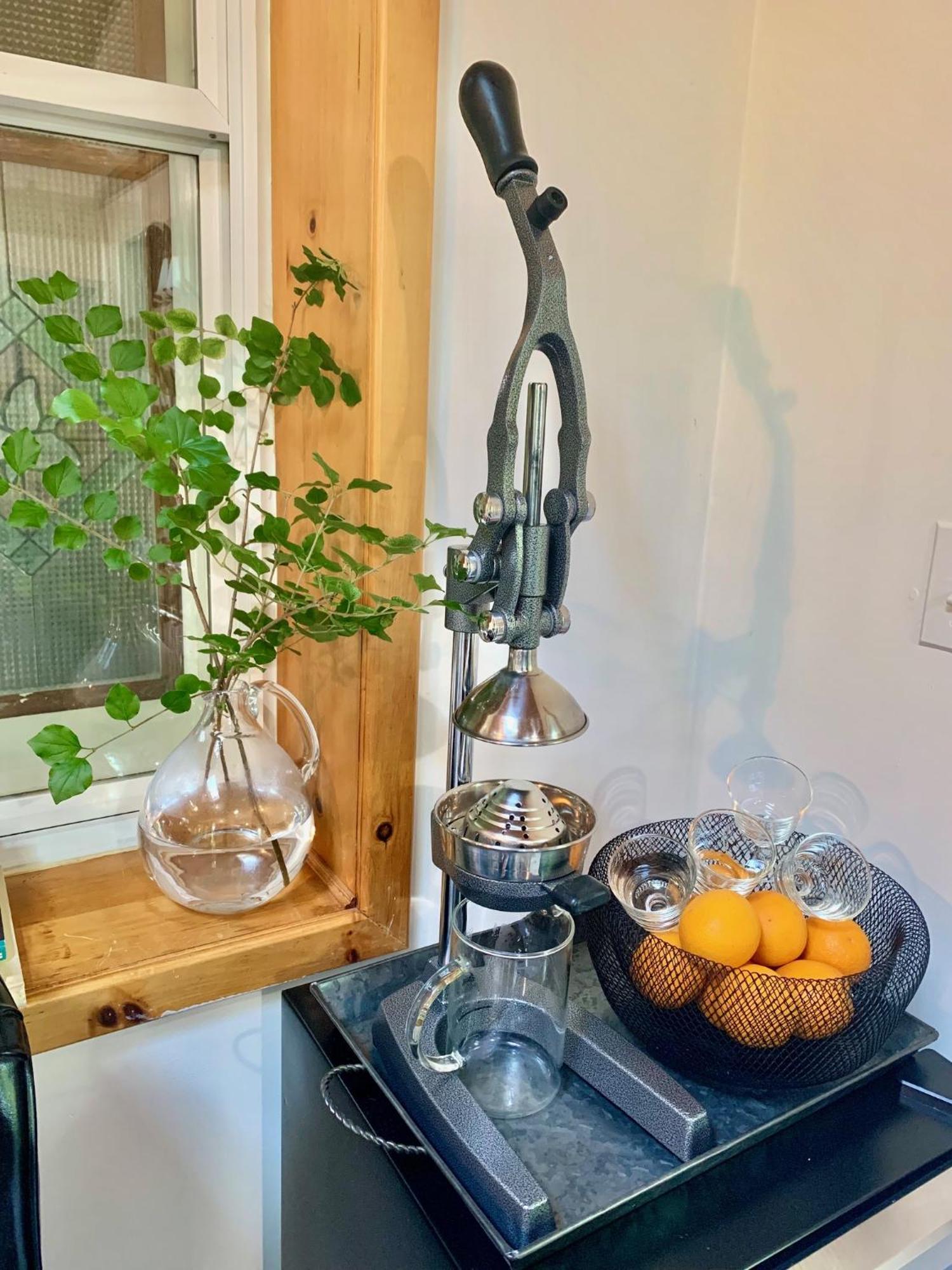 פורט הופ Plantation House Bed & Breakfast מראה חיצוני תמונה